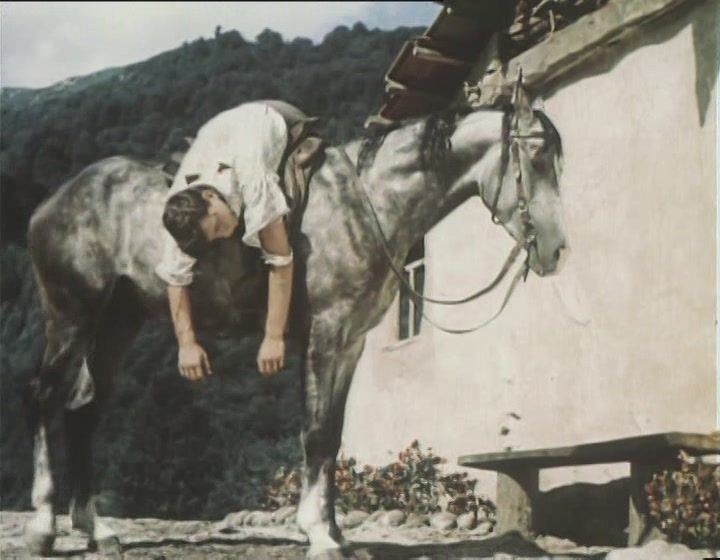 Фильм «Смелые люди» появился на советских экранах. Именно так назывался фильм о смелом партизане. Картина почти на четверть состояла из конных трюков. Для их выполнения пригласили знаменитого циркового артиста Алибека Кантемирова.